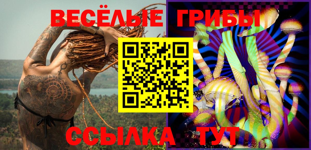 Галлюциногенные грибы Psilocybe Кувандык